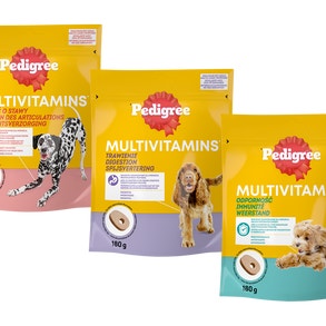 Multivitamins Freeform Story